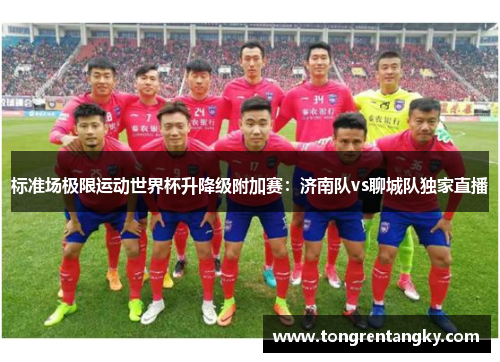 标准场极限运动世界杯升降级附加赛：济南队vs聊城队独家直播