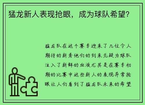 猛龙新人表现抢眼，成为球队希望？